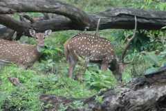 IMG-20251022-WA0004