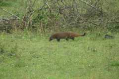 IMG-20251022-WA0005