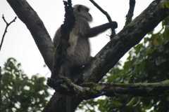 IMG-20251022-WA0006