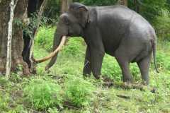IMG-20251022-WA0007