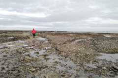 IMG-20200113-WA0009
