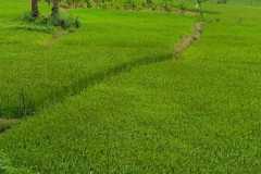 IMG-20251022-WA0010