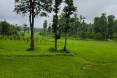 IMG-20251022-WA0011