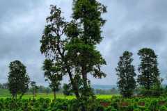 IMG-20251022-WA0013
