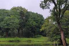IMG-20251022-WA0014