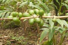 IMG-20251023-WA0004