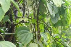 IMG-20251023-WA0005
