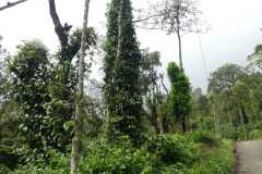 IMG-20251023-WA0006