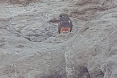 20230808_103537