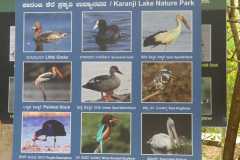 IMG-20251019-WA0046