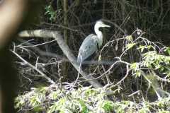 IMG-20251019-WA0047