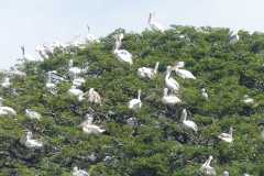 IMG-20251019-WA0048