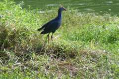 IMG-20251019-WA0049